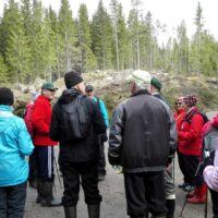 Patikkaretki Kissakulman nuorisoseuran kanssa