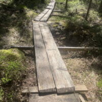 Luontopolku_03